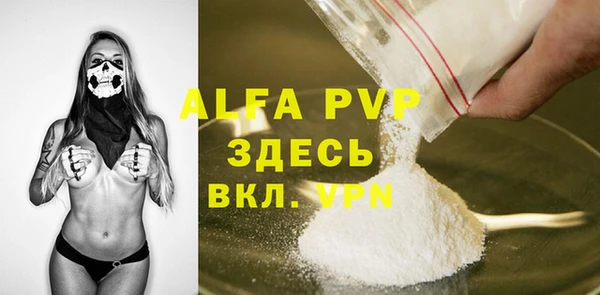 прущие грибы Арсеньев