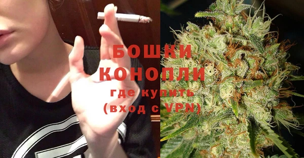 прущие грибы Арсеньев