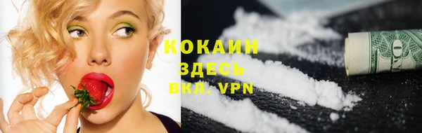 прущие грибы Арсеньев