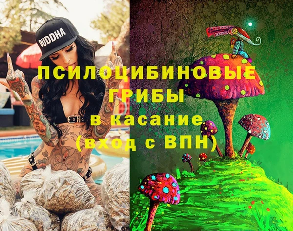 прущие грибы Арсеньев