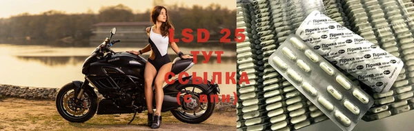 индика Осташков
