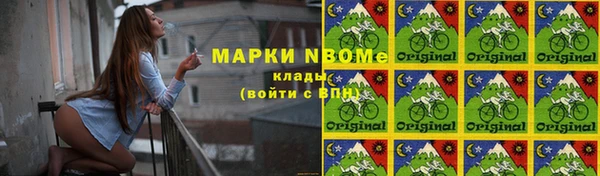 spice Аркадак