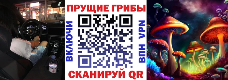 Галлюциногенные грибы Cubensis  Тейково 