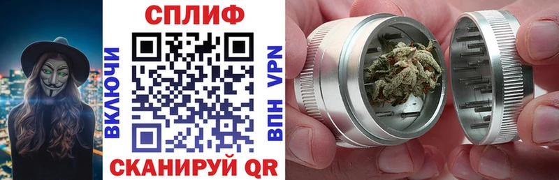 наркотики  Тейково  Каннабис сатива 